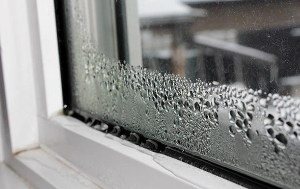 Leaking Doors And Windows: Causes, Impacts&Solutions