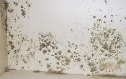 Leaking Doors And Windows: Causes, Impacts&Solutions