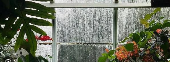 Sunroom Repair And Maintenance Guide